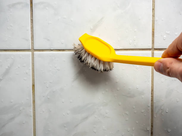 Office Mold Removal Services in Anderson, MO