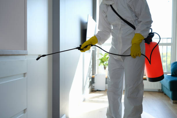 Best Residential Mold Removal  in Anderson, MO