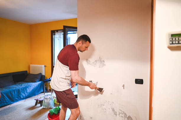 Best Mold Testing and Removal  in Anderson, MO